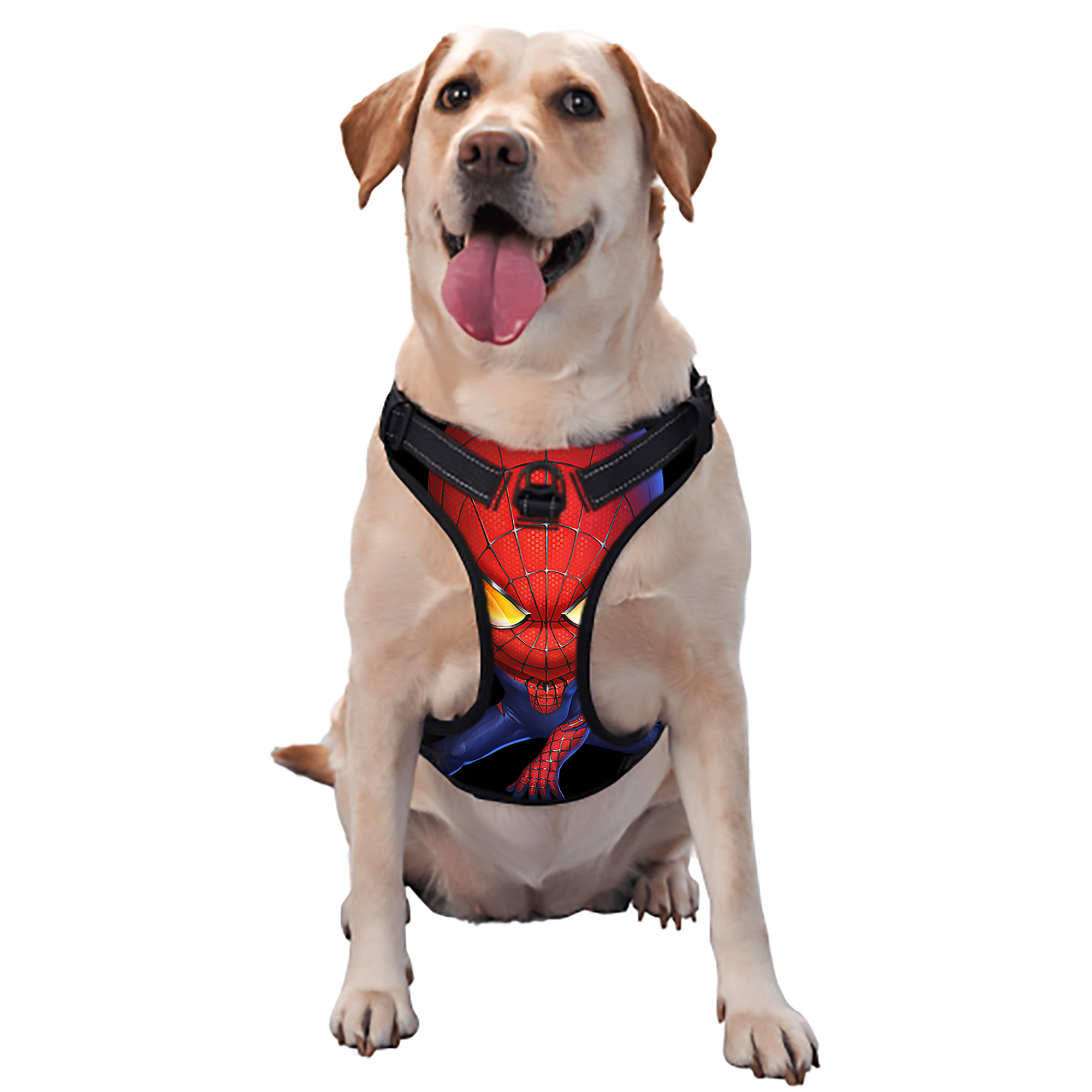 （画像用） Spider Man スパイダーマン ペット用ハーネス